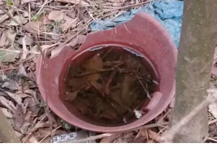 x 废弃物积水.jpg