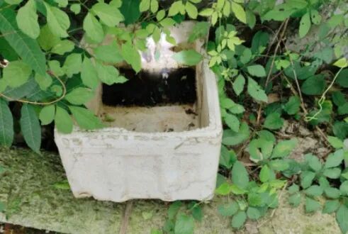 x 小容器泡沫盒.jpg