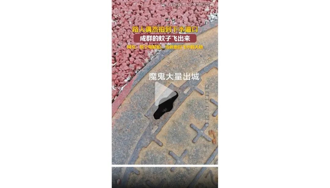 kj 天天侃蚊虫下水道.jpg