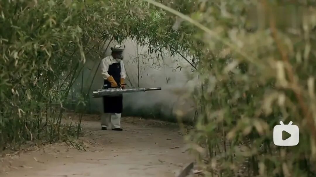 9 竹林热烟雾指南.jpg